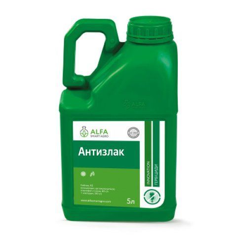 Гербіцид Антизлак 5 л. (Клетодим, 240 г/л) Alfa Smart Agro 1909937236 фото